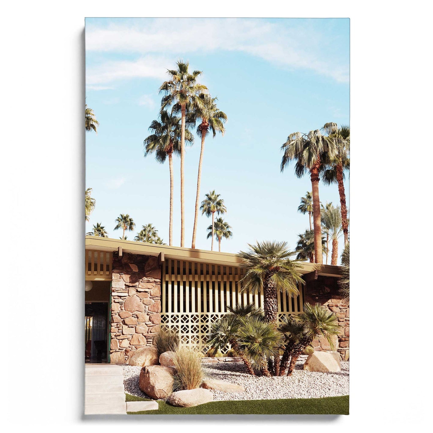 Summer Day At Palm Springs