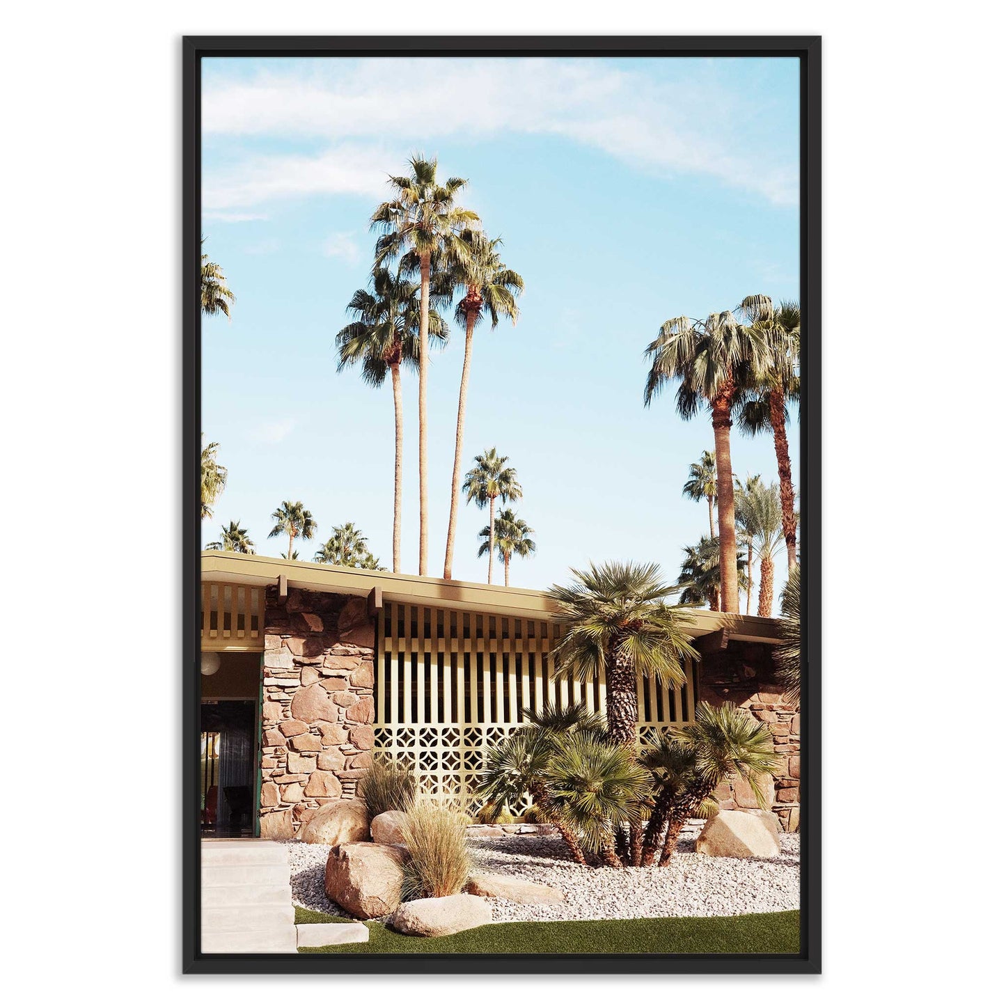 Summer Day At Palm Springs