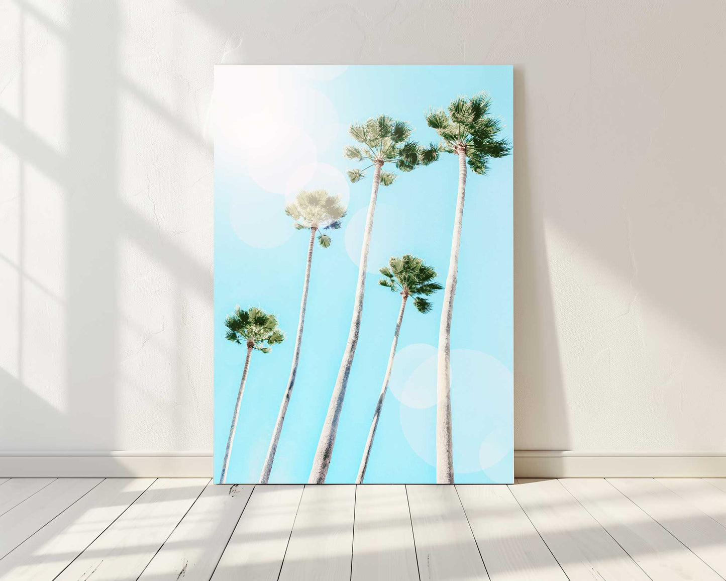 Summer Palms