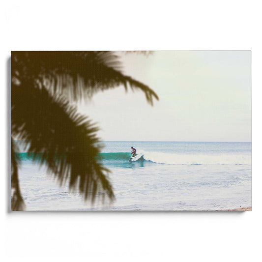 Summer Surf