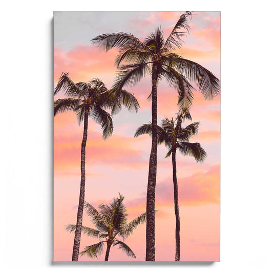 Sunset Palm Trees