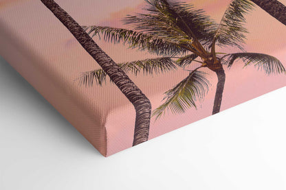 Sunset Palm Trees