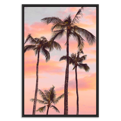 Sunset Palm Trees