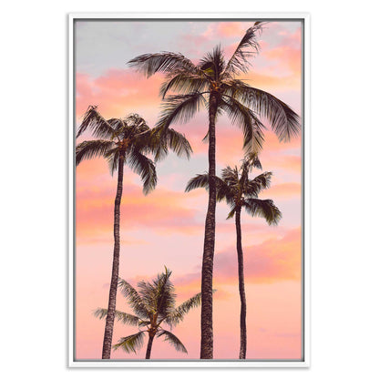 Sunset Palm Trees