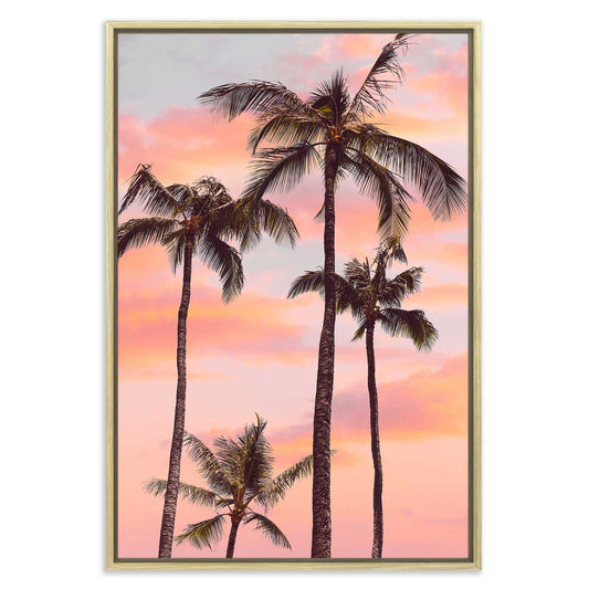 Sunset Palm Trees