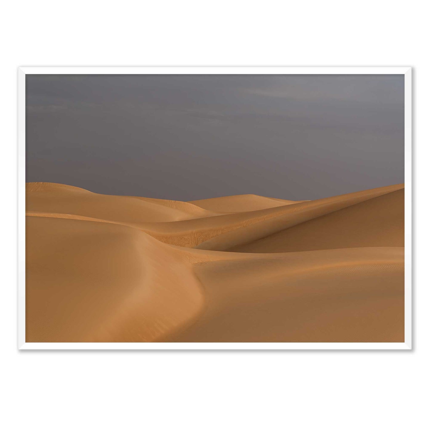 Sunset in the Desert