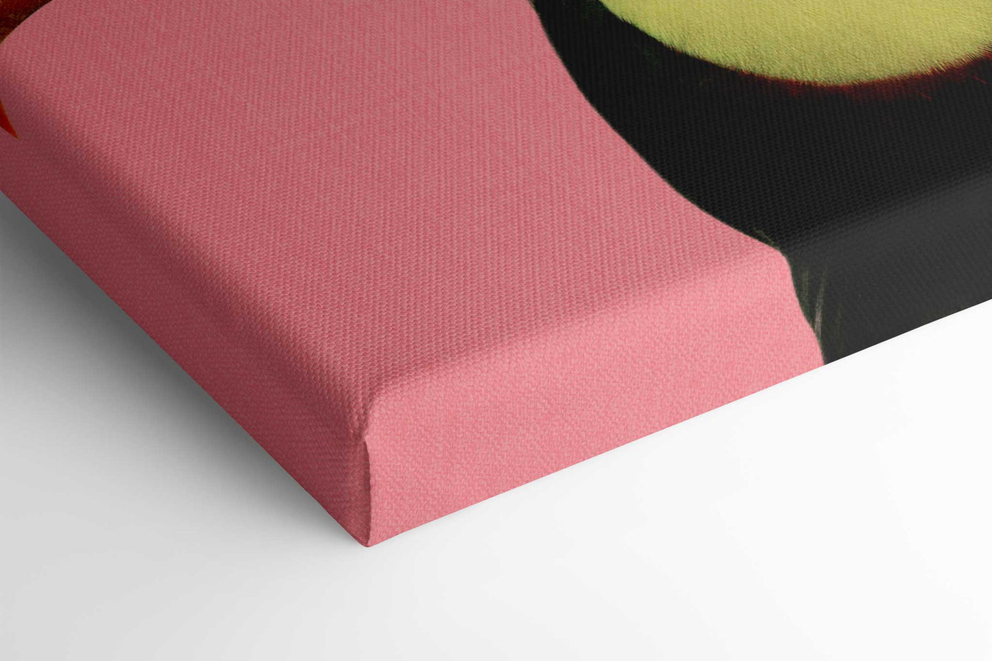 Toucan Bird in Pink