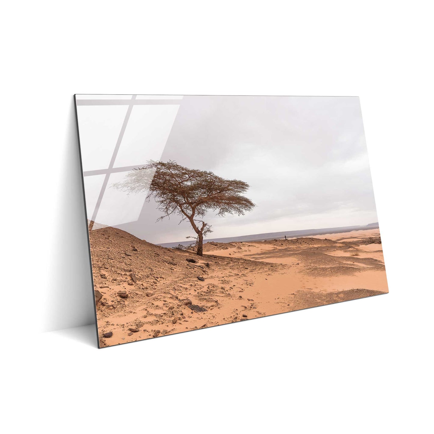 Tree in the Desert