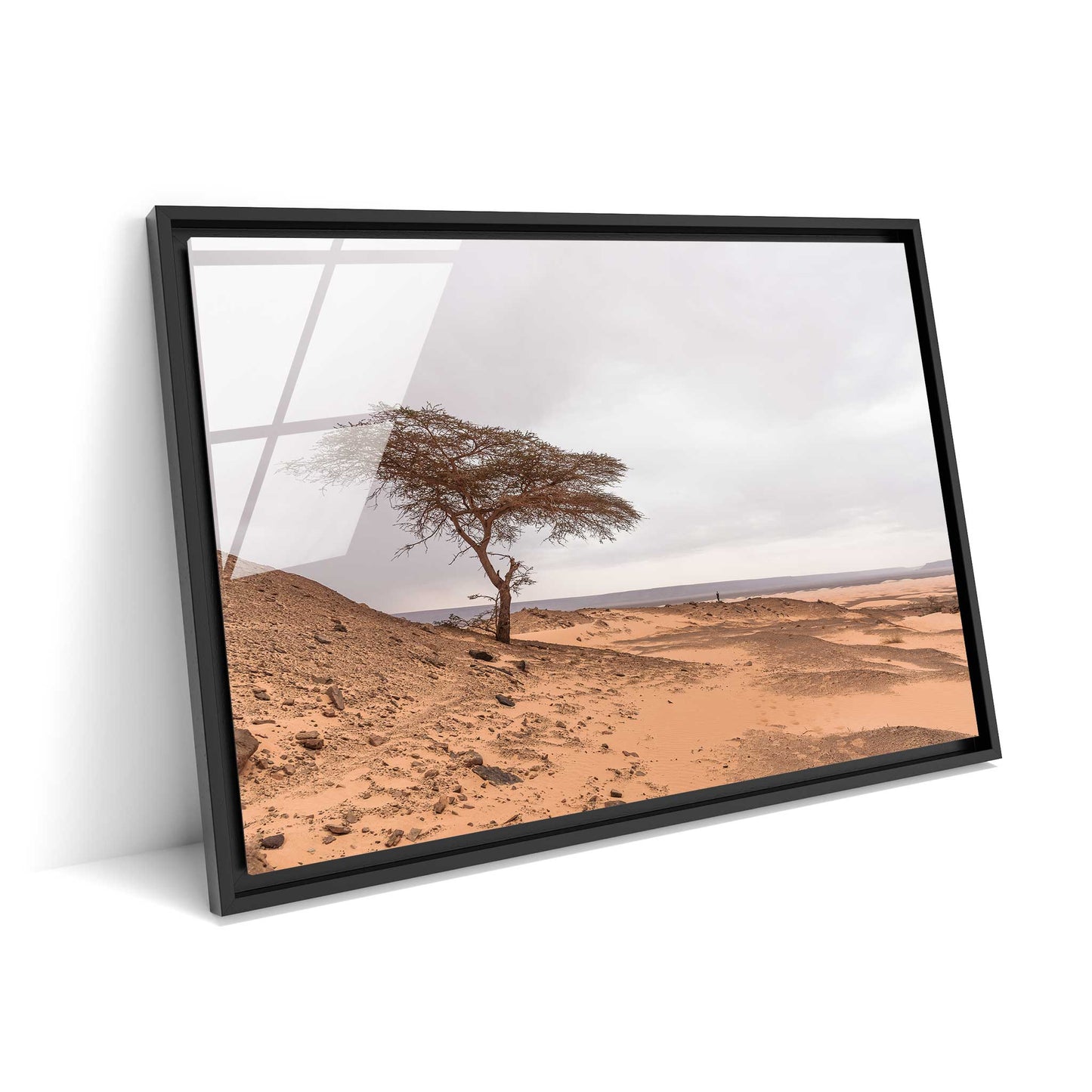 Tree in the Desert