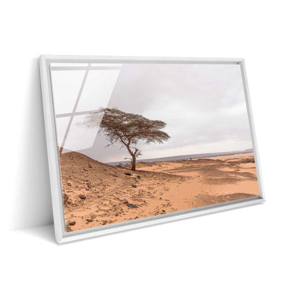 Tree in the Desert