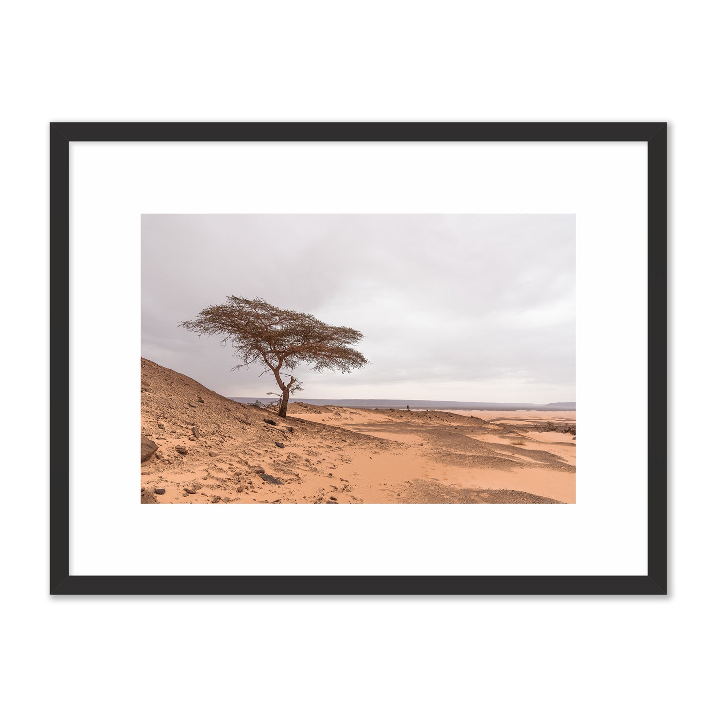 Tree in the Desert