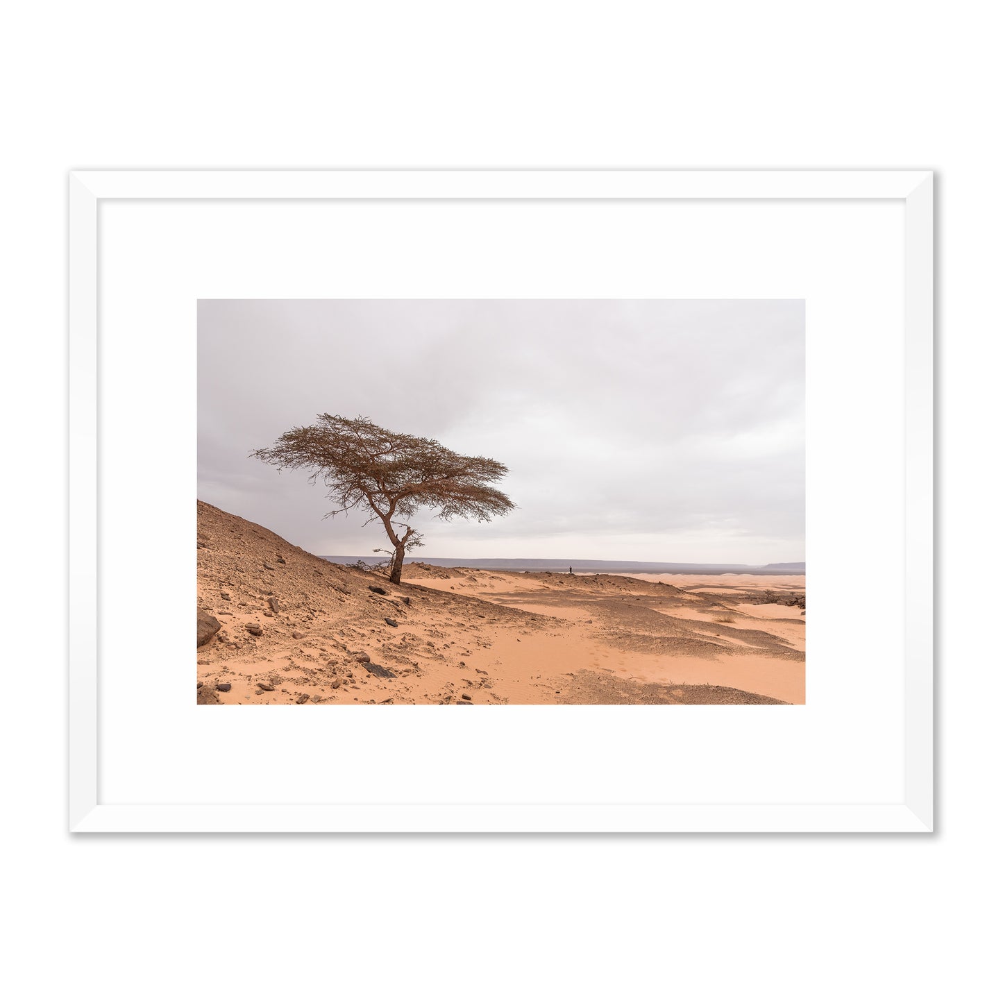 Tree in the Desert