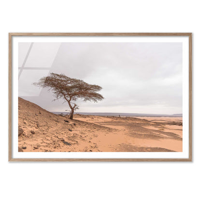 Tree in the Desert