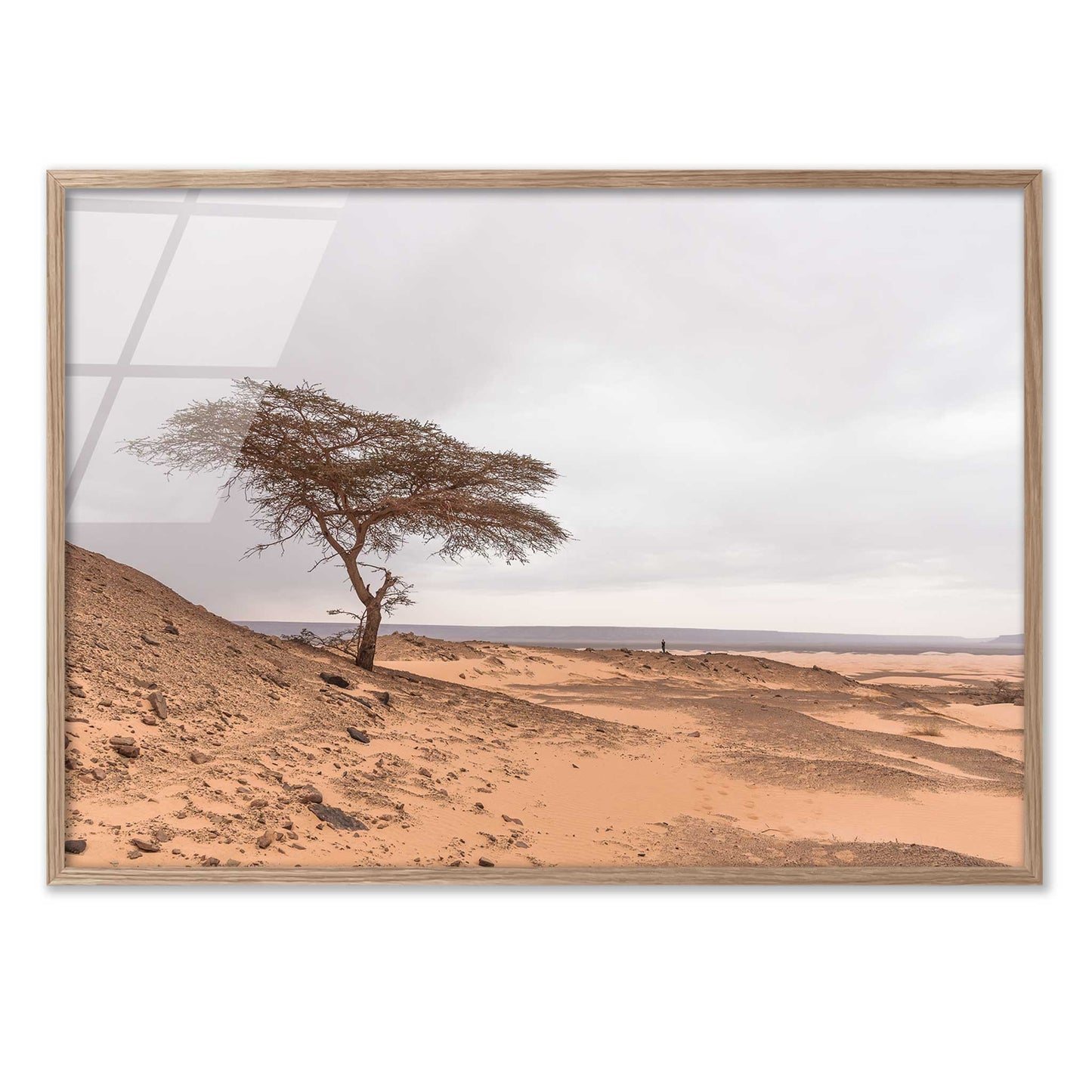 Tree in the Desert