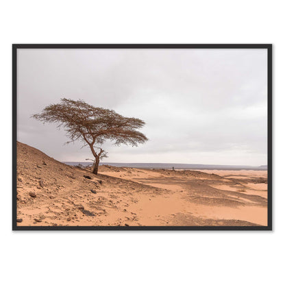 Tree in the Desert