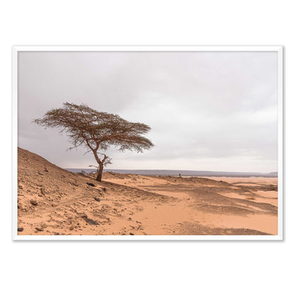 Tree in the Desert