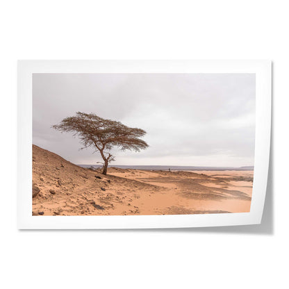 Tree in the Desert