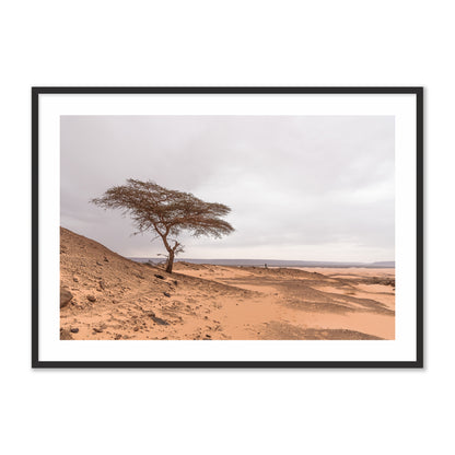 Tree in the Desert