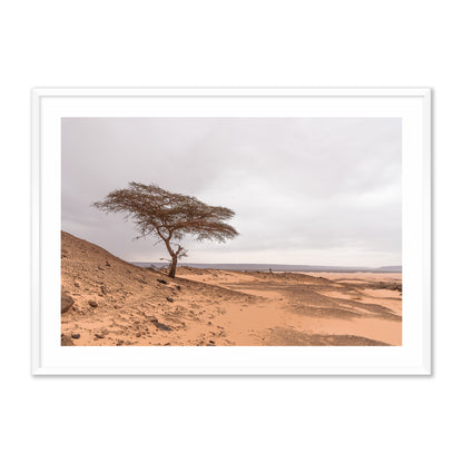 Tree in the Desert