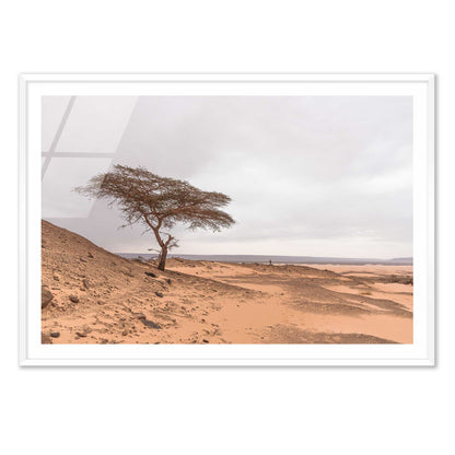 Tree in the Desert