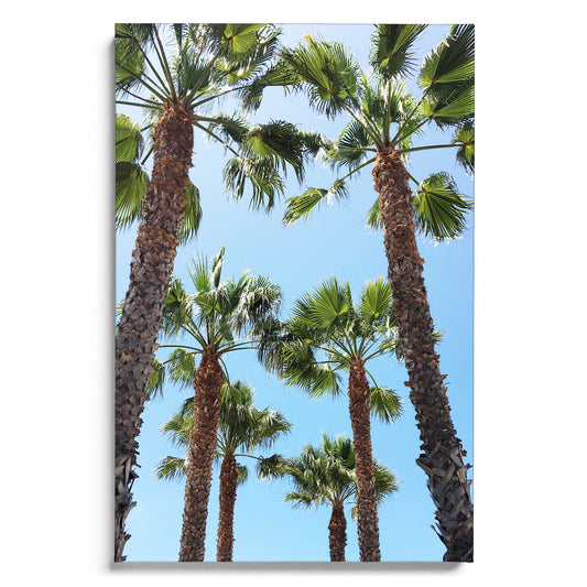 Venice Beach
