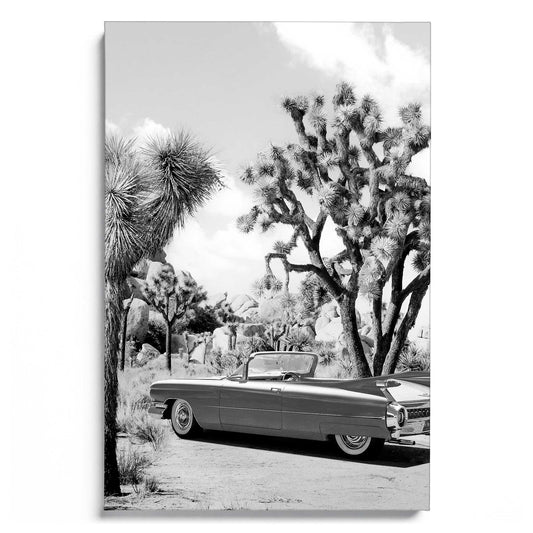 Vintage Road Trip B&W