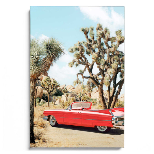 Vintage Road Trip