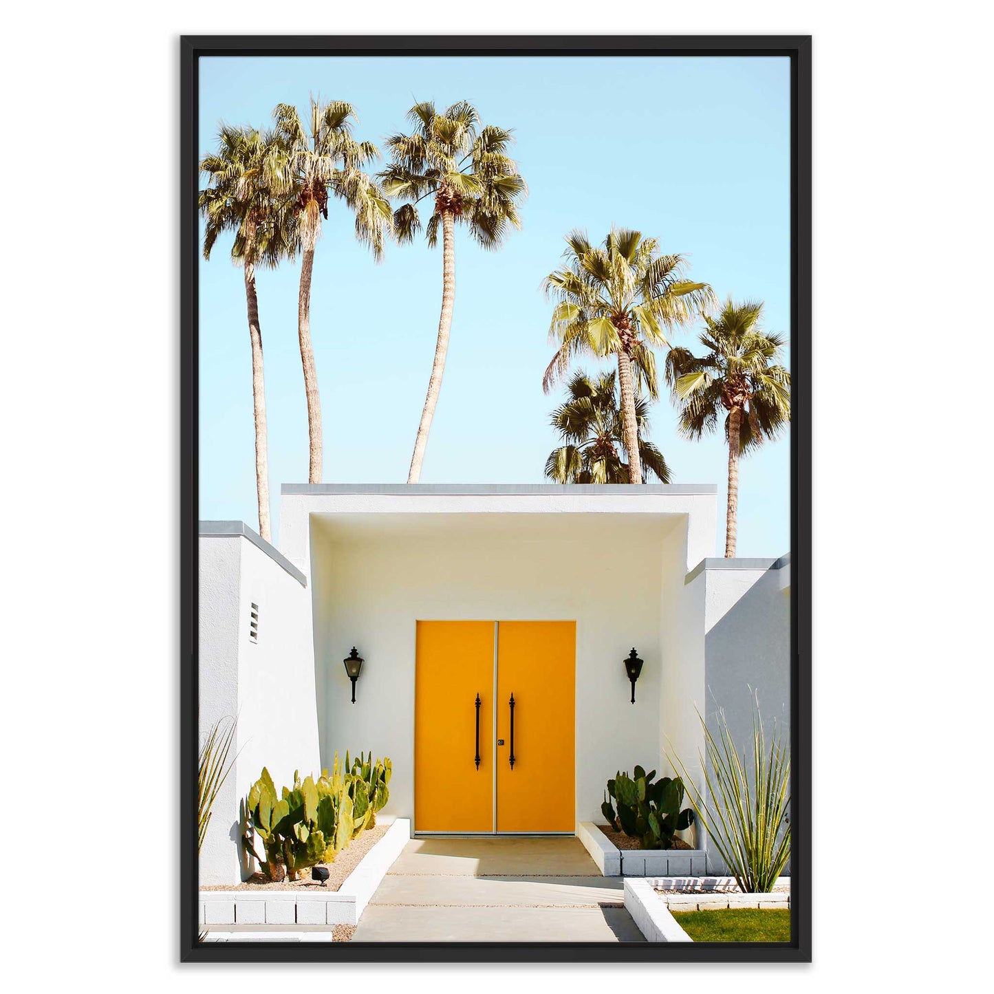 Welcome To Palm Springs