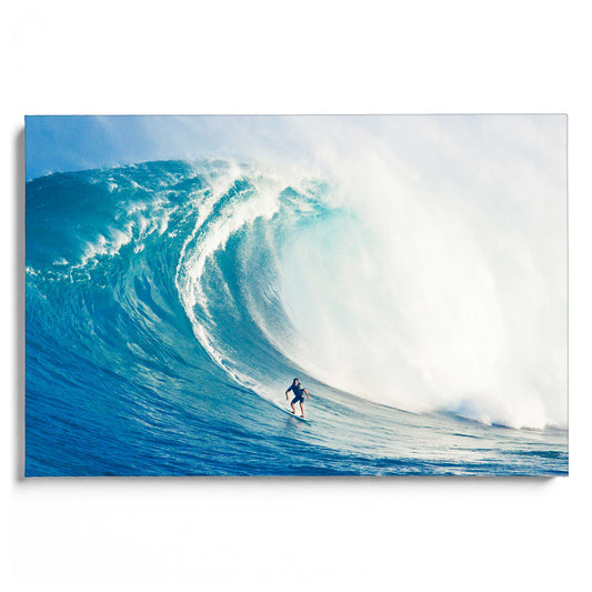 Wild Surf