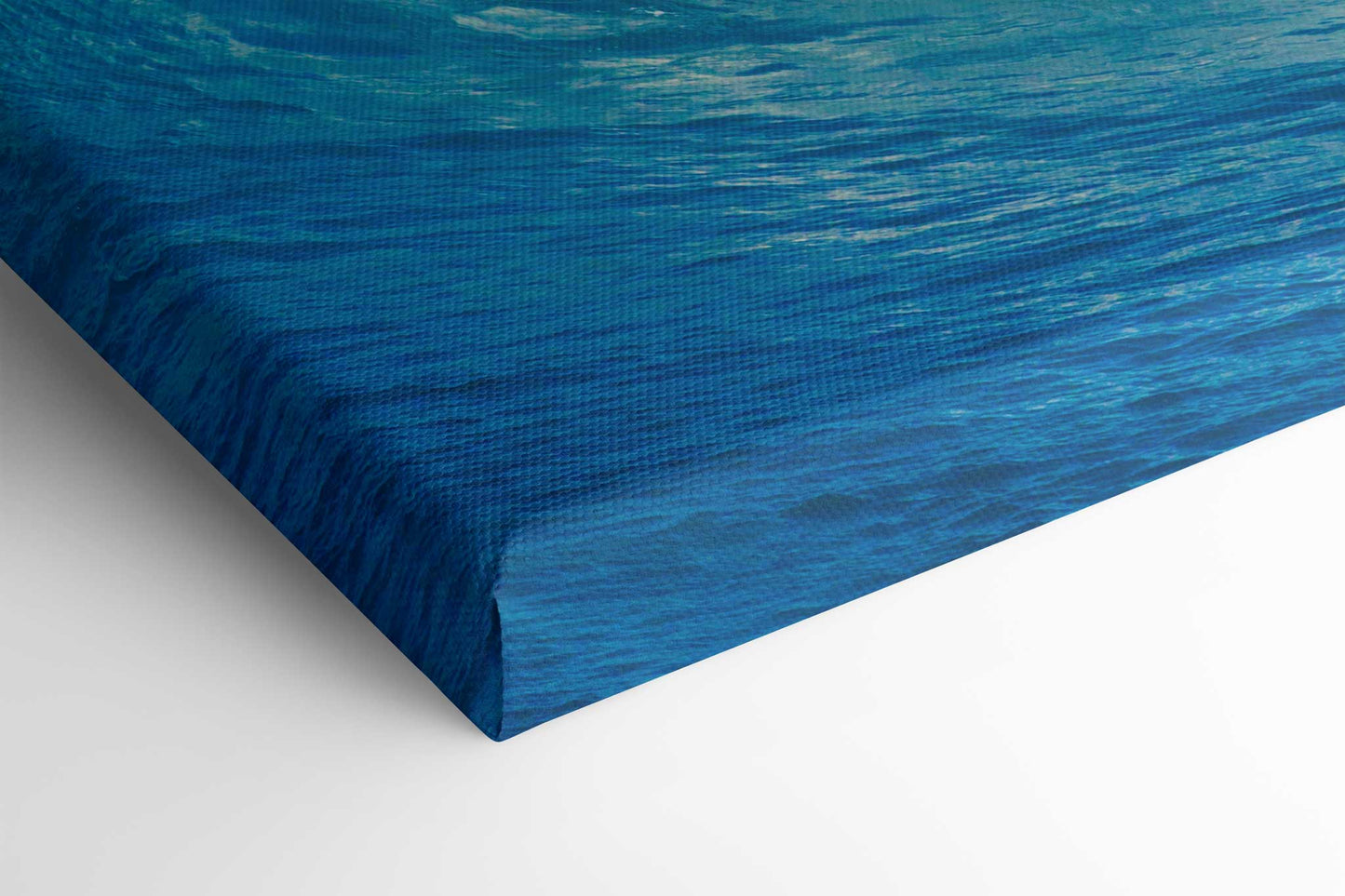 Wild Surf