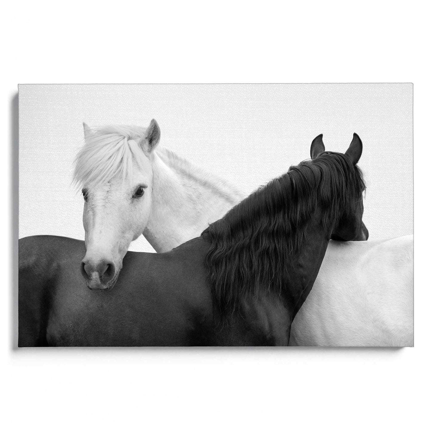 Yin and Yang Horses